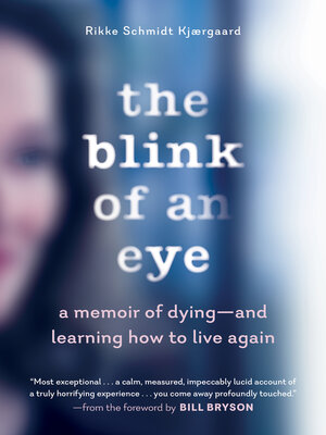 cover image of The Blink of an Eye